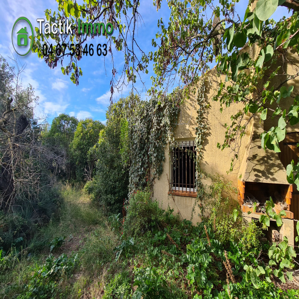 Offres de vente Villa Frontignan 34110